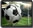 Locutor Esportivo